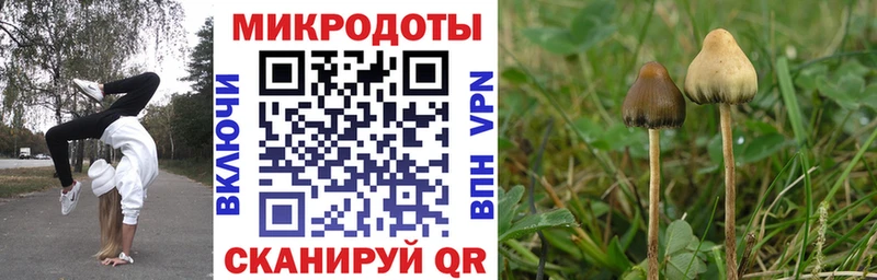 Псилоцибиновые грибы прущие грибы  Сланцы 