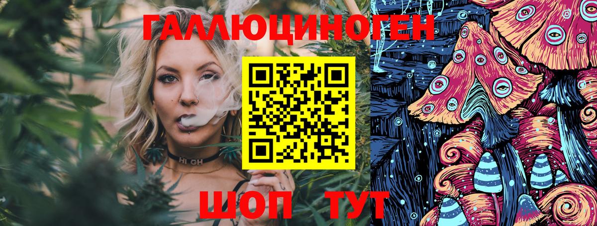 Галлюциногенные грибы Magic Shrooms Сланцы