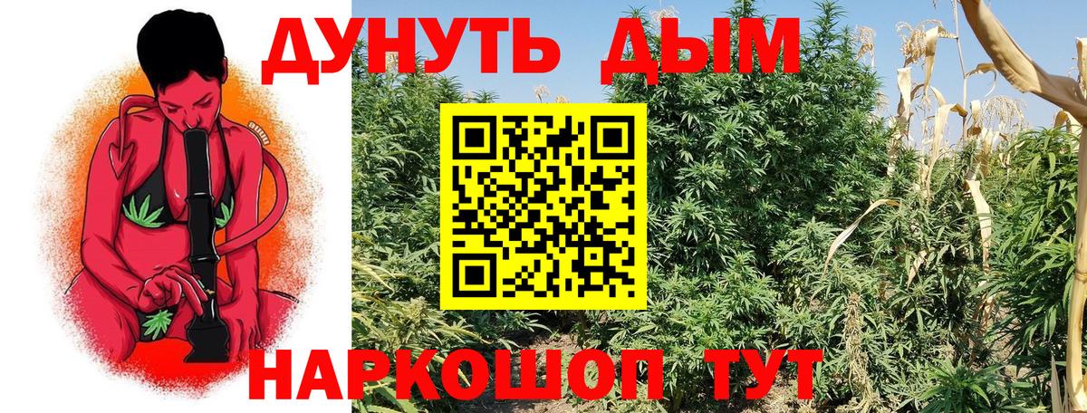 Бошки марихуана Amnesia Сланцы